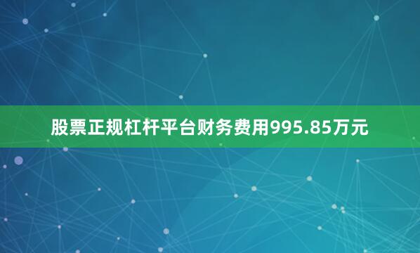 股票正规杠杆平台财务费用995.85万元